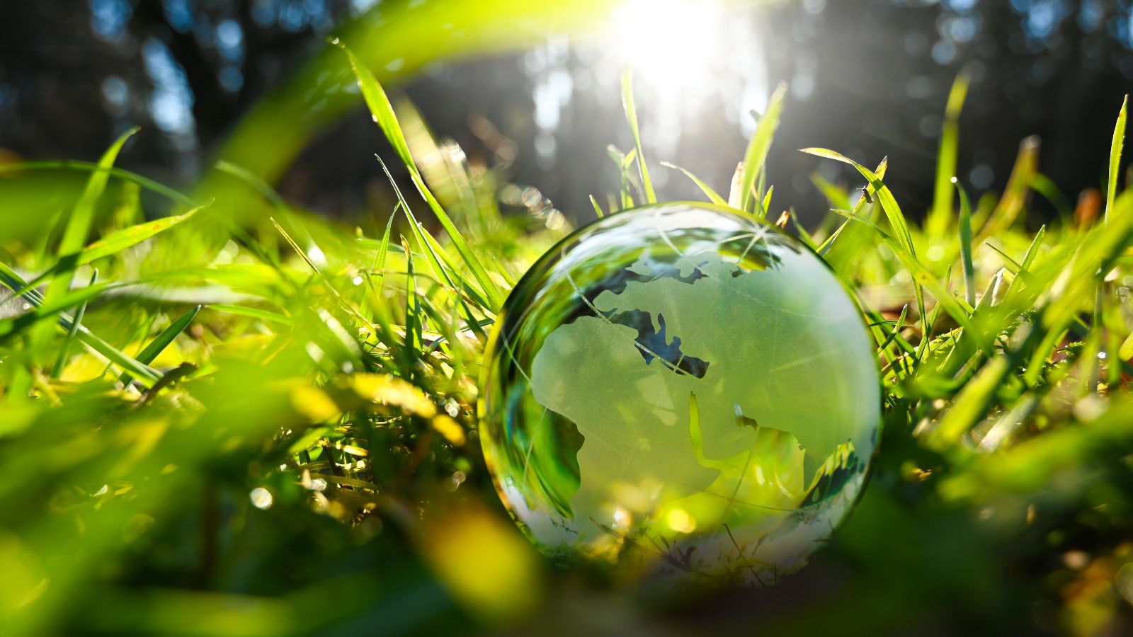 Gläserne Erdkugel liegt im Gras in der Sonne